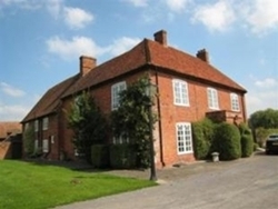 Sunshine Daisy Nursery